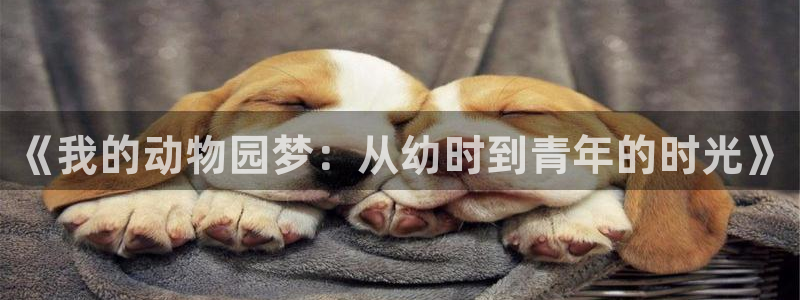 汗汗漫画大全在线阅读:《我的动物园梦:从幼时到青年的时光》配图