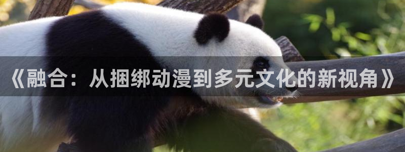汗汗漫画高清在线阅读：《融合：从捆绑动漫到多元文化的新视角》配图