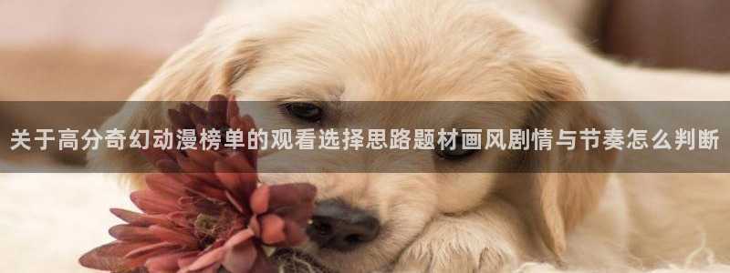 汗汗漫画在线高清阅读:关于高分奇幻动漫榜单的观看选择思路题材画风剧情与节奏怎么判断配图