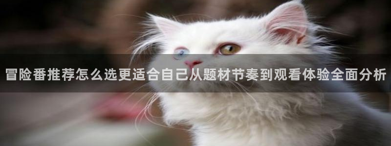 汗汗漫画更新最快：冒险番推荐怎么选更适合自己从题材节奏到观看体验全面分析配图
